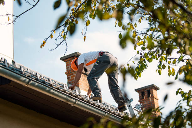 Tile Roofing Contractor in Eldridge, IA