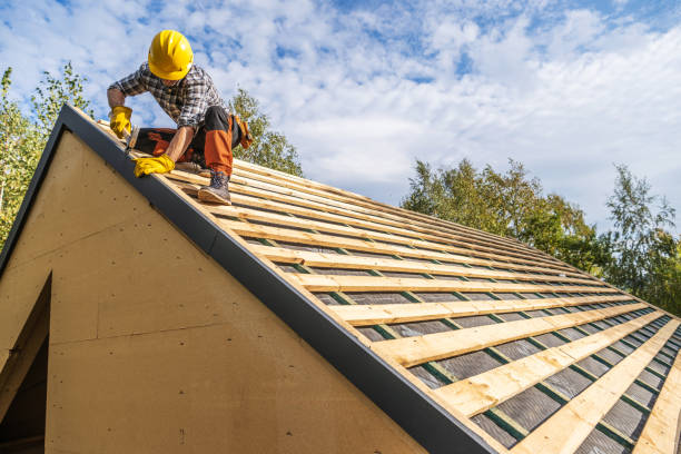 Professional Roofing Contractor in Eldridge, IA