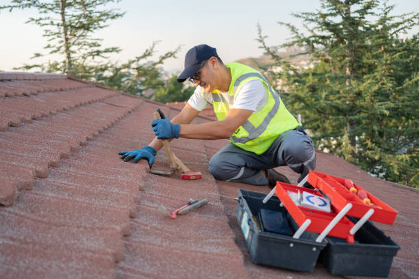 Best Roof Gutter Cleaning  in Eldridge, IA